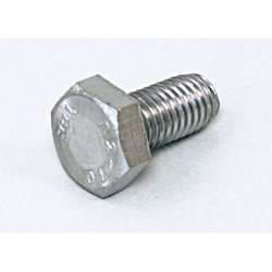 Scr  Hex Ss M10-1.50X20Mm