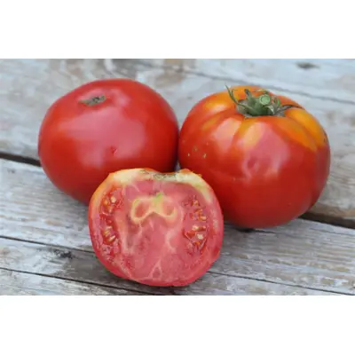 Tomato - Cosmonaut Volkov (Seed)