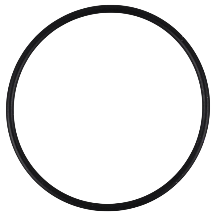 O-Ring (OR-PP-3017)
