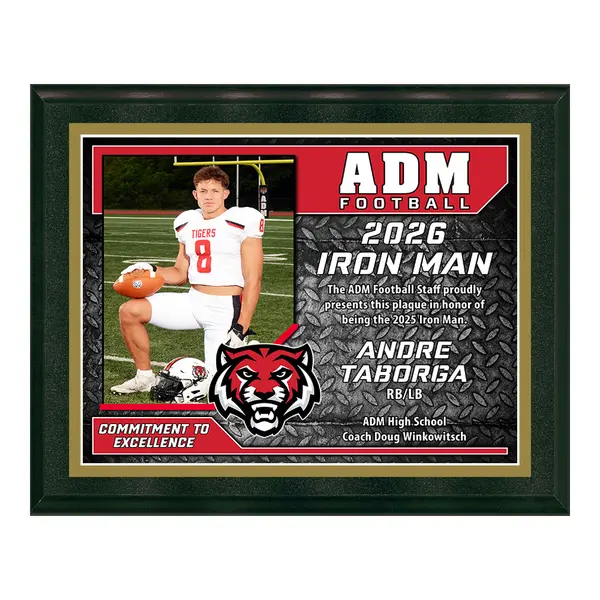 Deluxe Vividcolor AIO Award Plaques with Metal Border