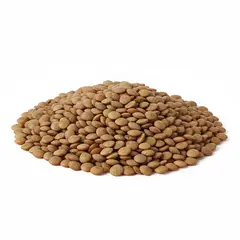 BEANS LENTILS BROWN OG | 25 LBS