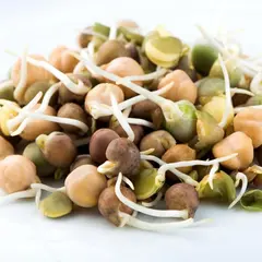 Mumm's Crunchy Bean Sprout Blend