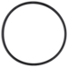 O-Ring (OR-PP-182)