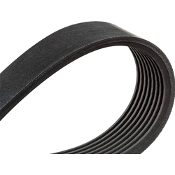 Drive Belt