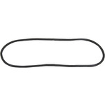 Windshield Gasket
