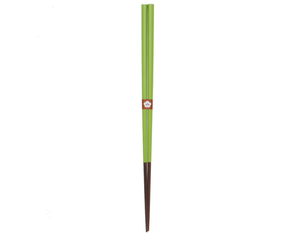 Chopsticks Wakaba-iro Green