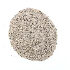 CHIA WHITE OG | 5 LBS