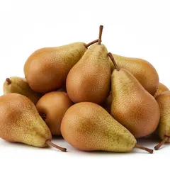 PEARS BOSC OG | 90 CT / US#1