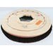 Brush, 19" Poly W/Lugs