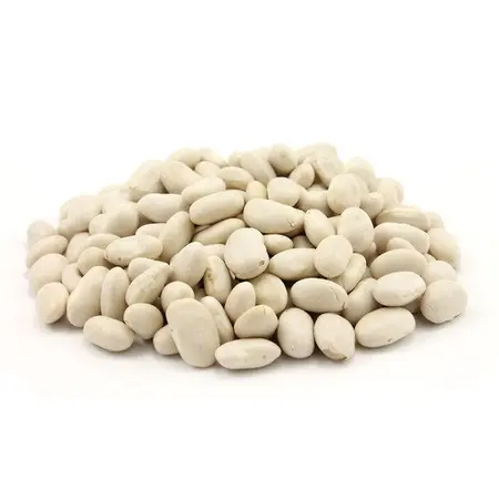 BEANS GREAT NORTHERN OG | 25 LBS