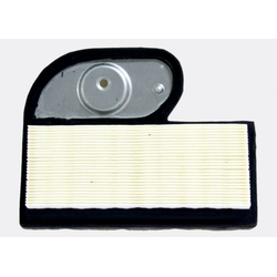 Filter, Engine Air