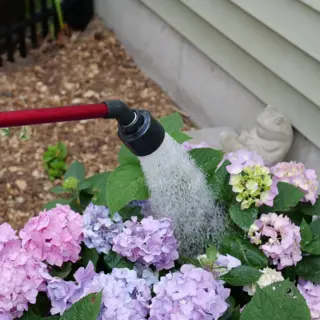 Watering Supplies