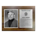 10 Series Hall of Fame & Tribute Award Plaques