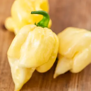 Hot Pepper - Habenero White Chocolate (Seed)