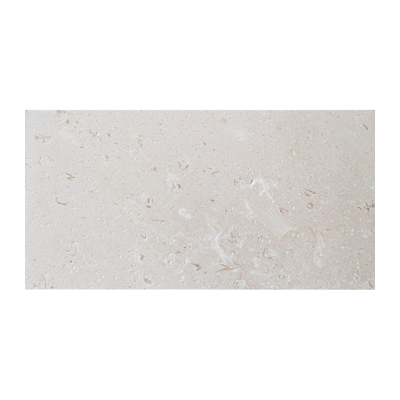 12X24 Shell Stone Light