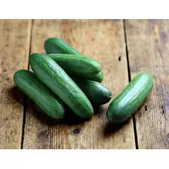 CUCUMBERS SLICERS OG | 22 LBS