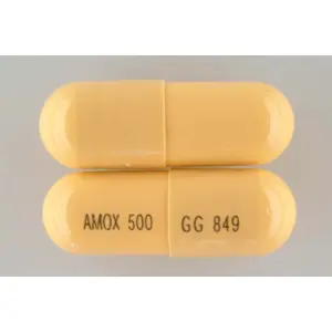 Amoxicillin 500mg, 100s