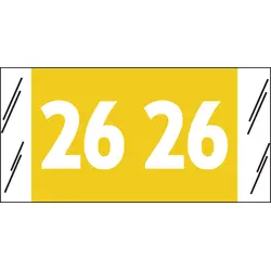 SFI Compatible Yearcode 12900 Label Rolls