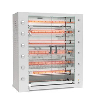 Rotisol FB1160-6G-SS FlamBoyant Infrared Rotisserie Oven Gas, Countertop, 6 Spit