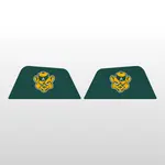 Custom Visor Tab Decals