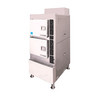 Cleveland 24CGA6.2S Steamcraft Gemini 6 Convection Steamer