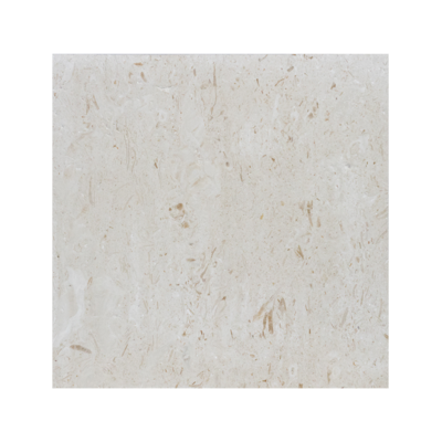 18X18 Shell Stone