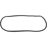Windshield Gasket