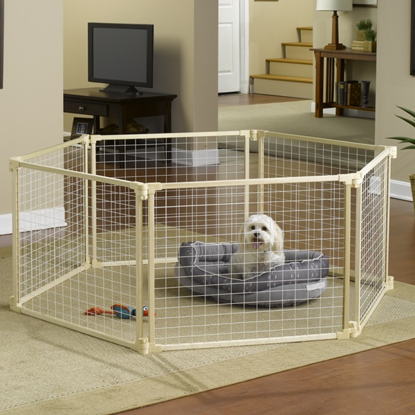 pet frame with heavy duty wire mesh