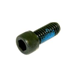 Screw