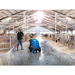 Nilfisk MH 4M pressure washer cleaning a dairy barn aisle