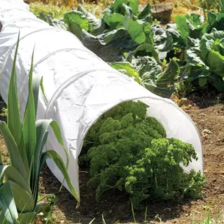 Polythene Grow Tunnel