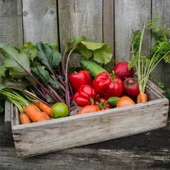Vegetables and Herbs