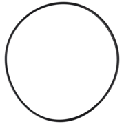 O-Ring (OR-PP-200)