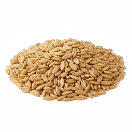 OAT GROATS WHOLE OG | 50 LBS