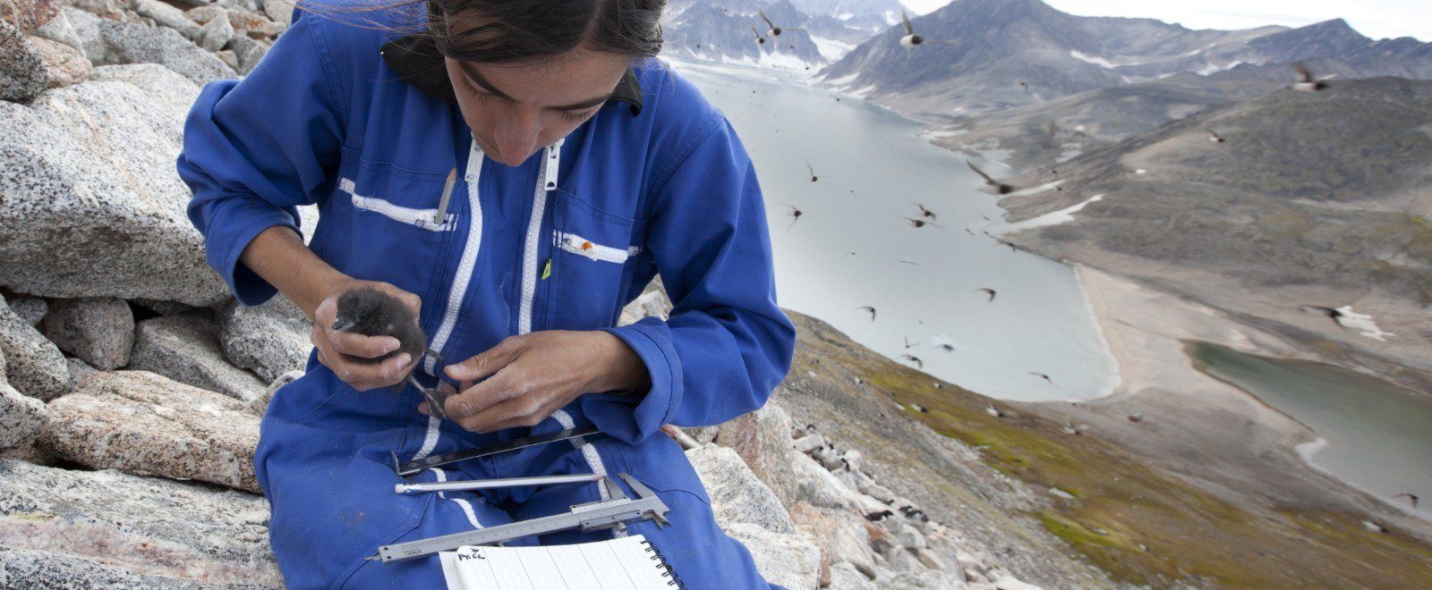 biologist using notebook holding a bird