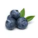 BLUEBERRIES OG | 30 LBS