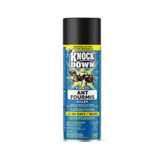 Kuus Knock Down Ant Killer
