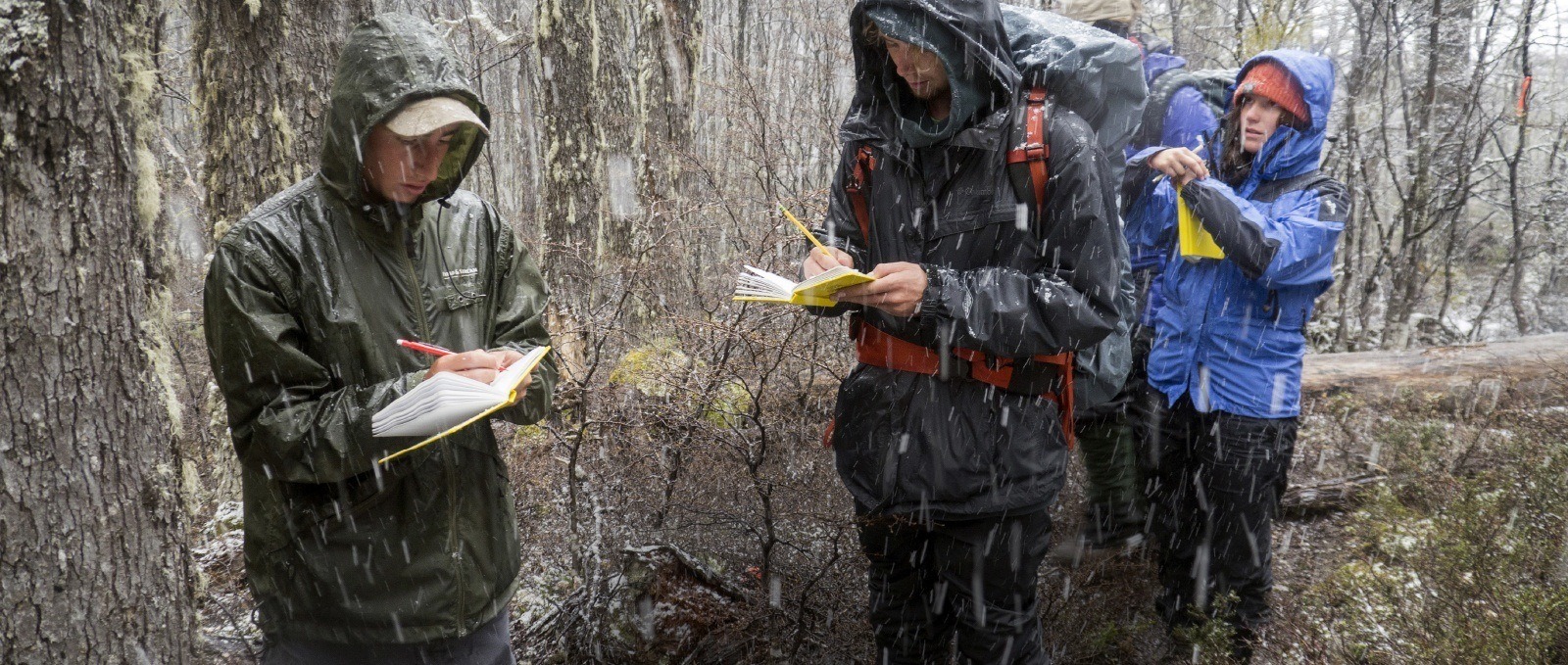 Students walking in the rain throught the woods writing in their books. 