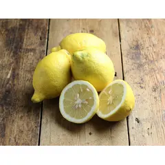 LEMONS FANCY OG | 95 CT