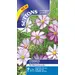 Cosmos - Tip Top Picotee (Seed)