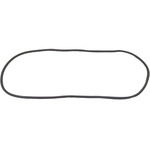 Windshield Gasket