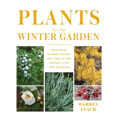 Plants For The Winter Garden