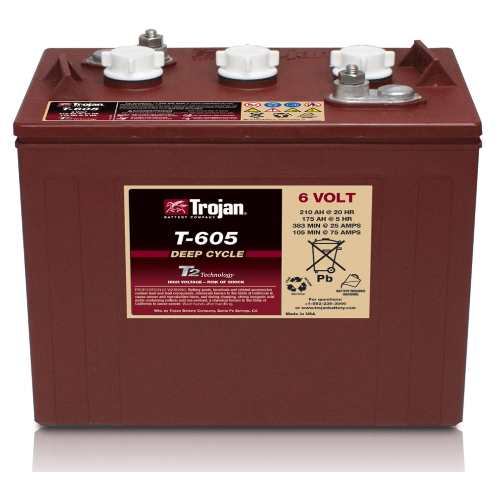 Tennant/Nobles - 4034931 - Battery, Wet, 6Vdc, 210Ah, C/20, W/Ca (Replaces Tennant 1227180)