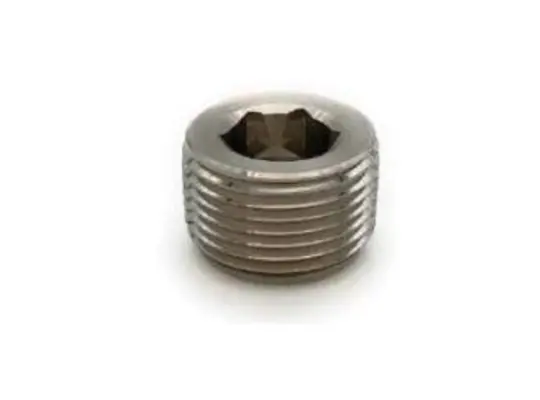 Hollow Hex Head Plug, 1/2-in Male NPTF, Stainless Steel