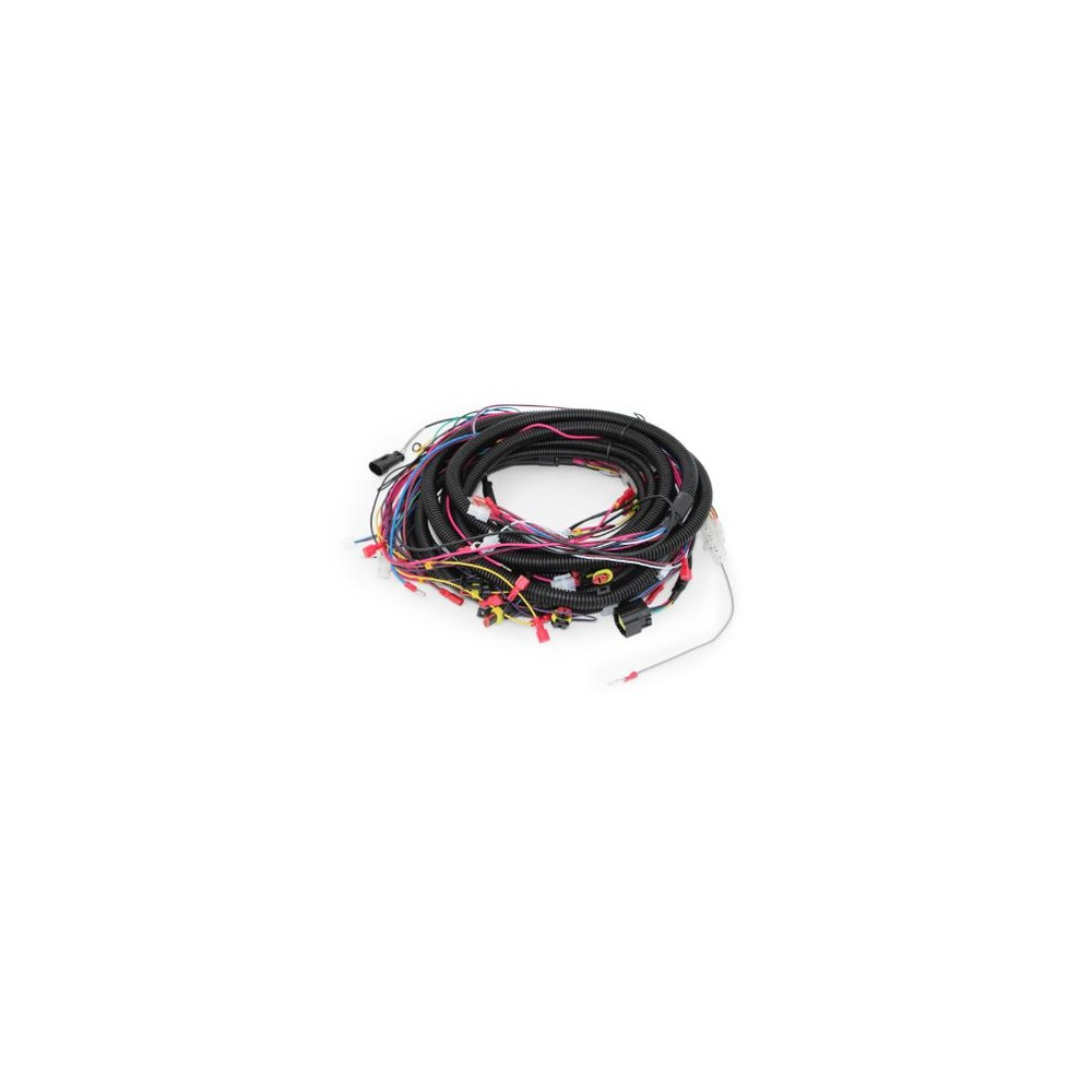 Nilfisk Advance - 55940119 - Main Connecting Wire