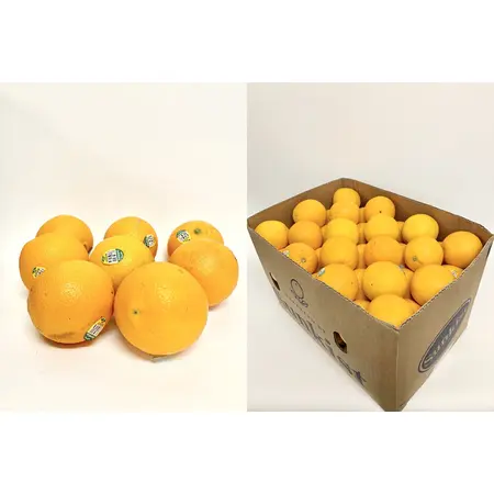 ORANGE NAVEL FANCY OG | 72 CT