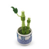 Figurine Potted Lucky Bamboo