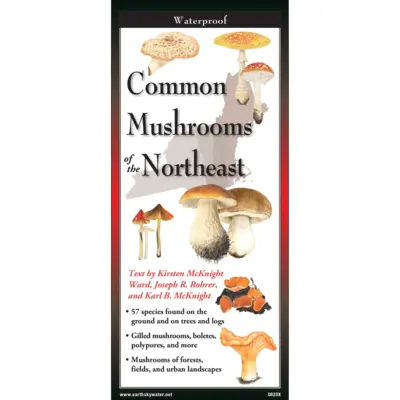 Common Mushrooms of the Northeast
