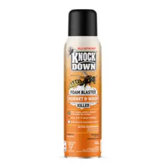 Kuus Knock Down Wasp & Hornet Foam