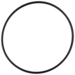 O-Ring (OR-PP-190)